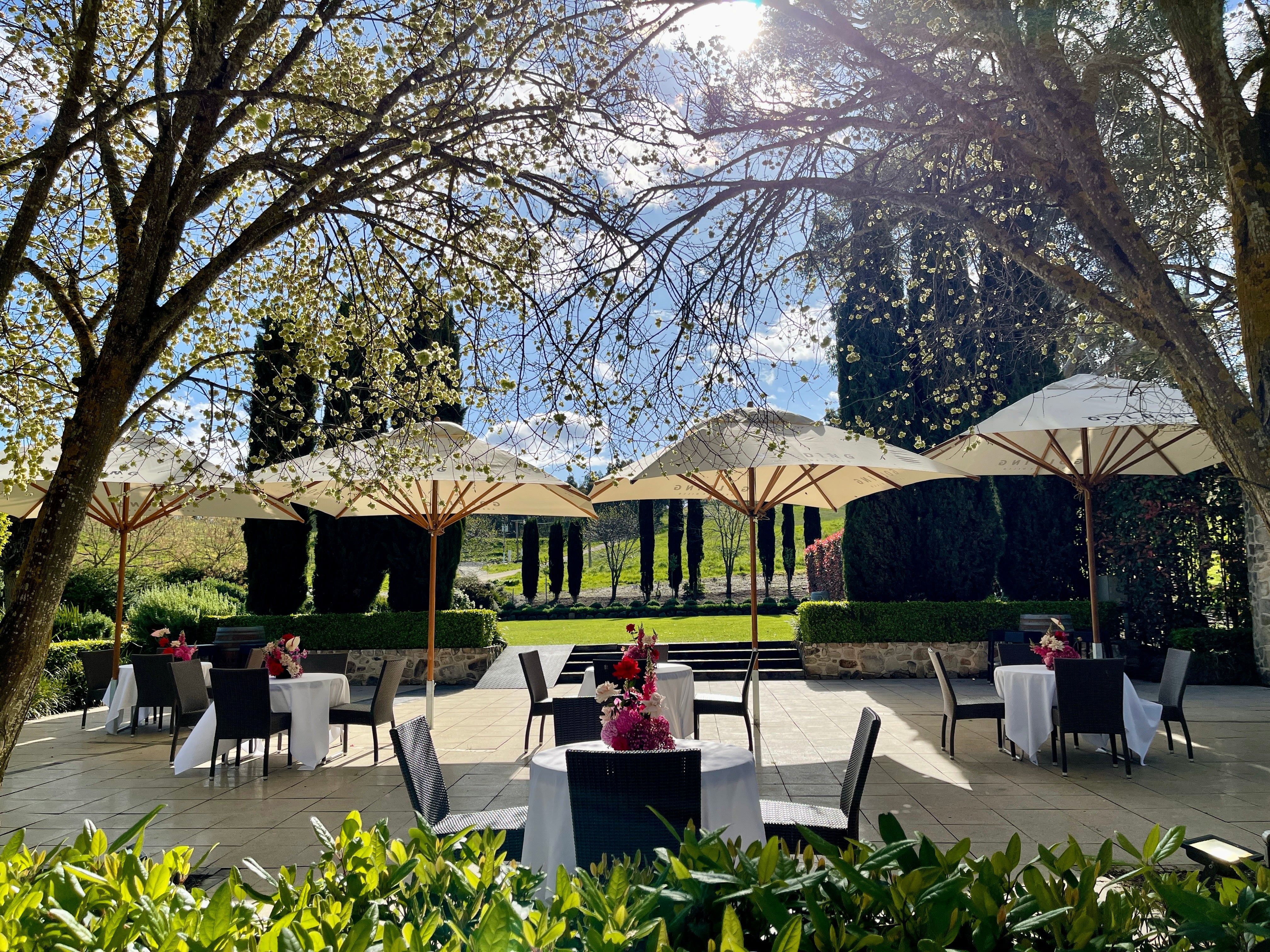 Golding Wines